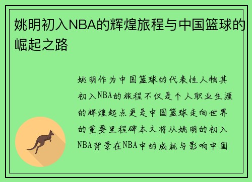 姚明初入NBA的辉煌旅程与中国篮球的崛起之路